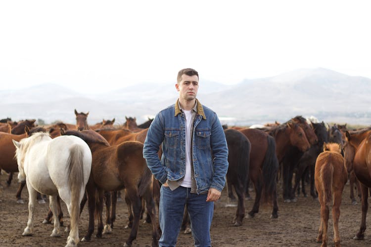 Man In Jacket Among Horses