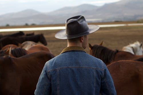 Man in Hat among Horses