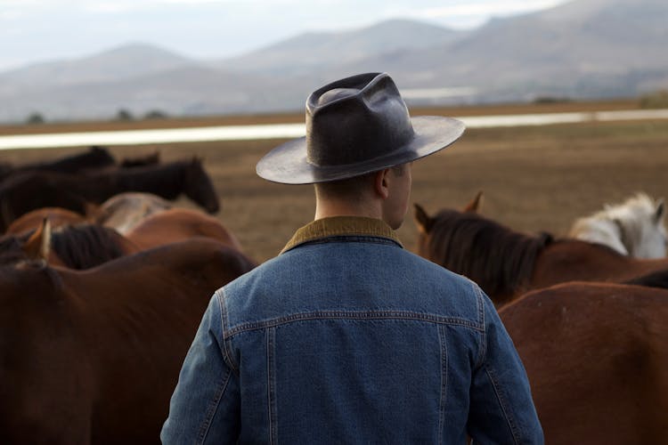 Man In Hat Among Horses