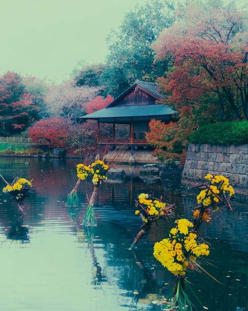 Darmowe zdjęcie z galerii z jesień, jezioro, kwiaty