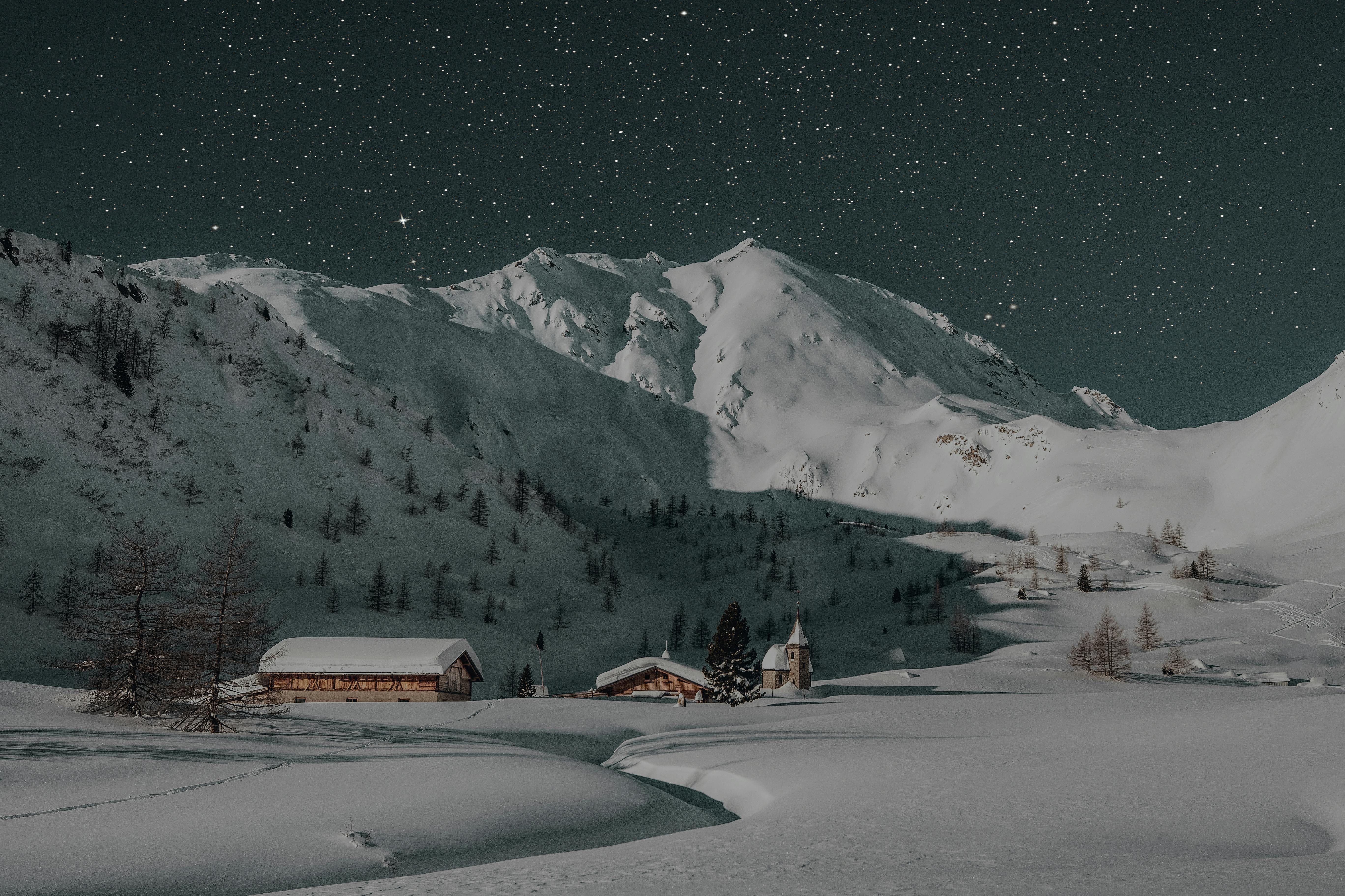 Night sky over a snowy forest MacBook Air Wallpaper Download   AllMacWallpaper