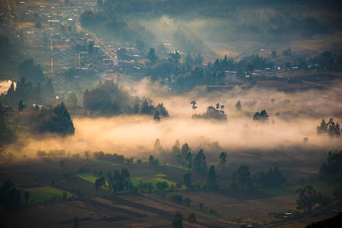 Foto stok gratis berkabut, jalur listrik, kabut