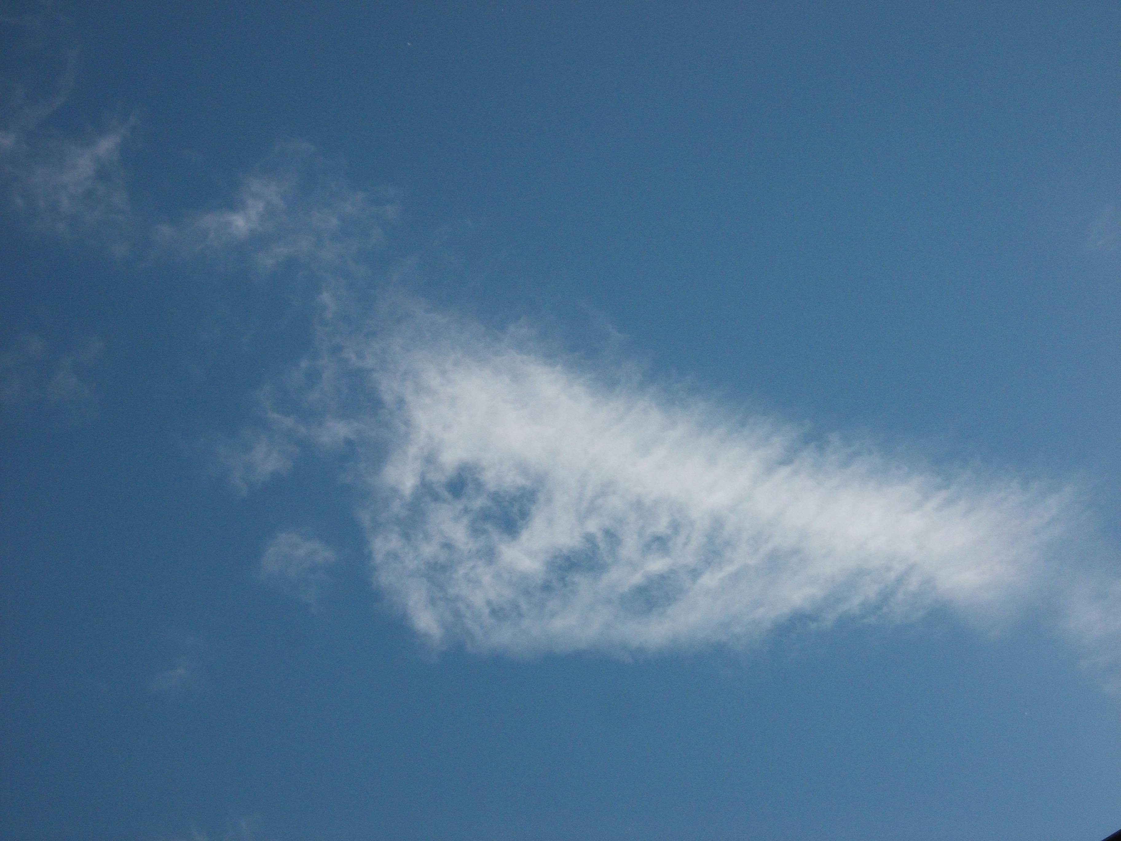 两位商务人士正在讨论桌上的文件