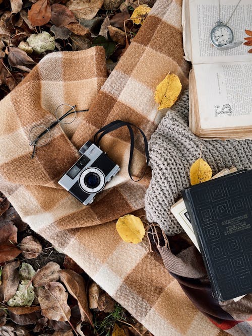 Autumn Still Life with Vintage Camera and Books