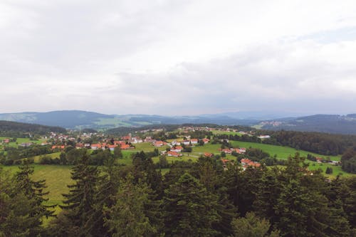 Ingyenes stockfotó Bajorország, domb, erdő témában Stockfotó