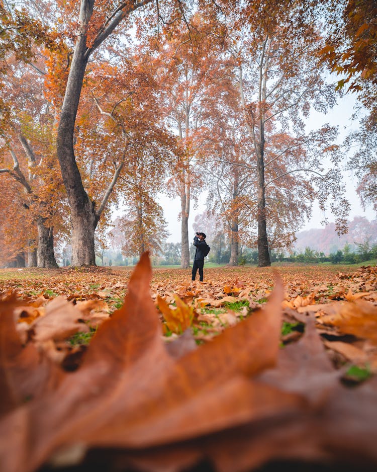 Man Taking Pictures In Autumn Forest