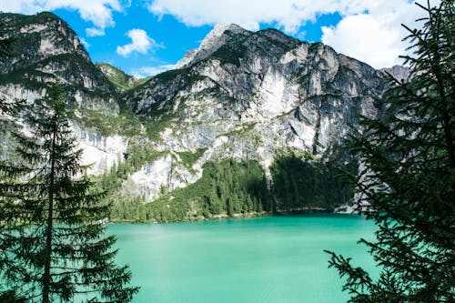 Free stock photo of adventure, clouds, conifer