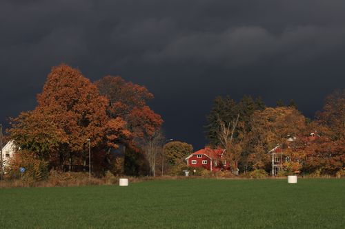 Free A vivid autumn scene with dark clouds over colorful trees and houses in the countryside. Stock Photo