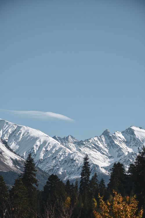Free Scenic view of snow-capped mountains with a blue sky, trees, and a sense of tranquility. Stock Photo