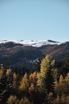 Breathtaking autumn landscape showcasing snow-capped mountains and colorful trees.