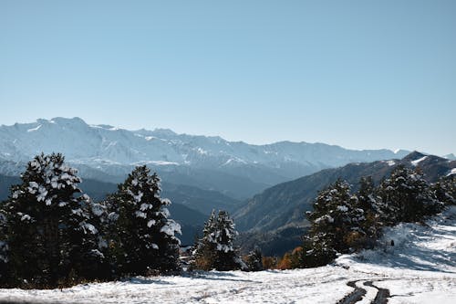 Immagine gratuita di alberi, catena montuosa, montagna innevata