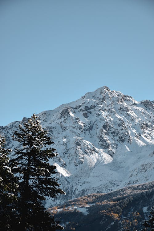 Snow Capped Mountain under a Clear Blue Sky