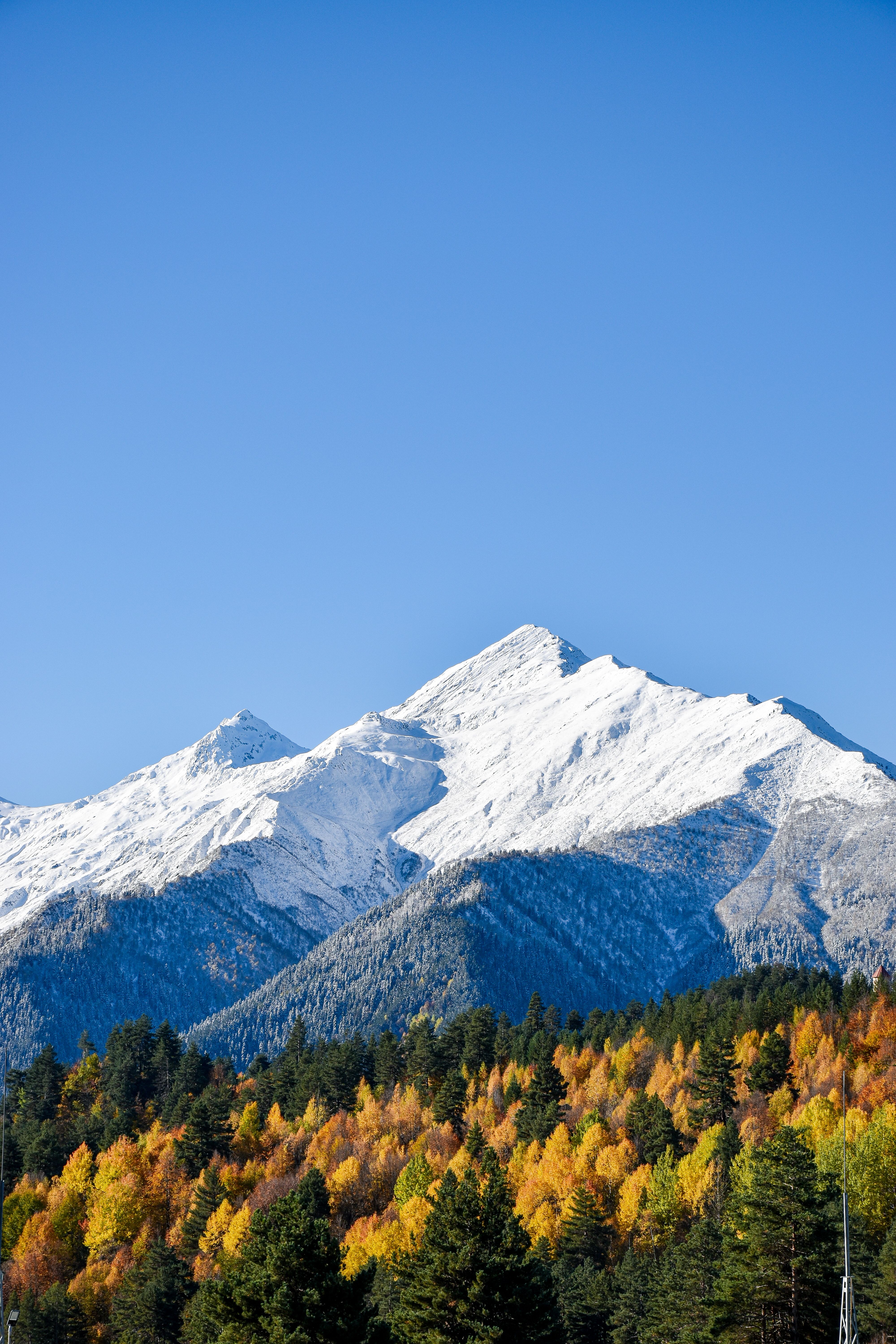 Snow Covered Mountain Near Green and Yellow Trees · Free Stock Photo
