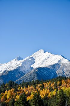 A breathtaking view of snow-covered peaks with vibrant autumn foliage under a clear blue sky.