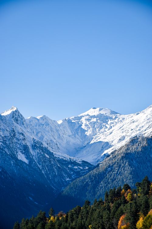 Free Majestic snowcapped mountains with a forested foreground and clear blue sky. Stock Photo