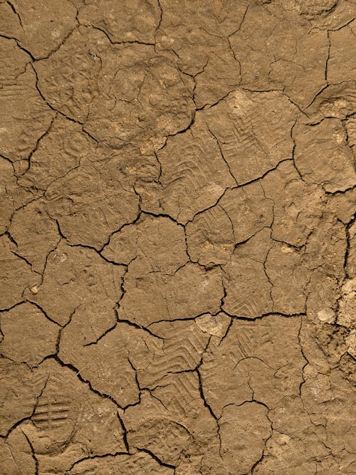 Photo of Dry Cracked Soil