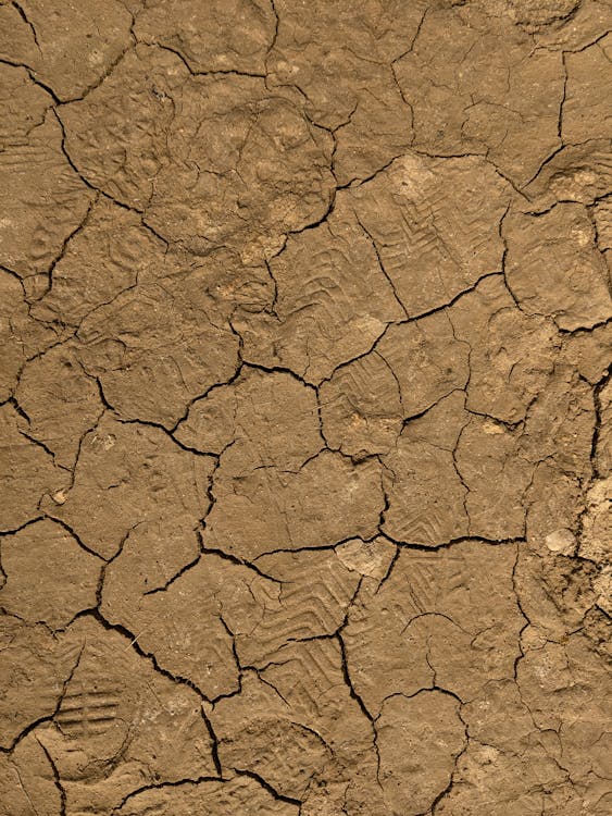 Photo of Dry Cracked Soil