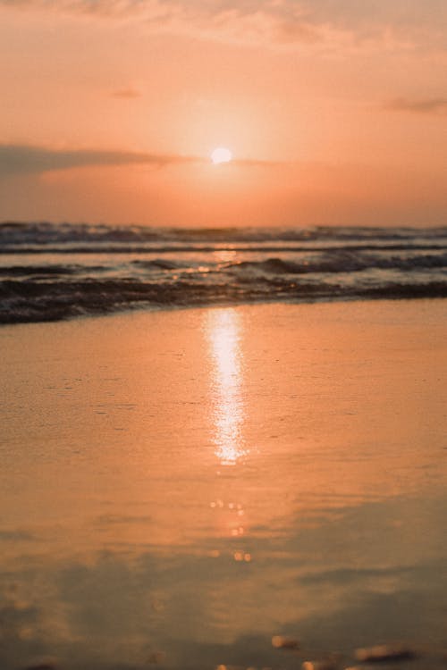 คลังภาพถ่ายฟรี ของ คลื่น, ชายหาด, ดวงอาทิตย์