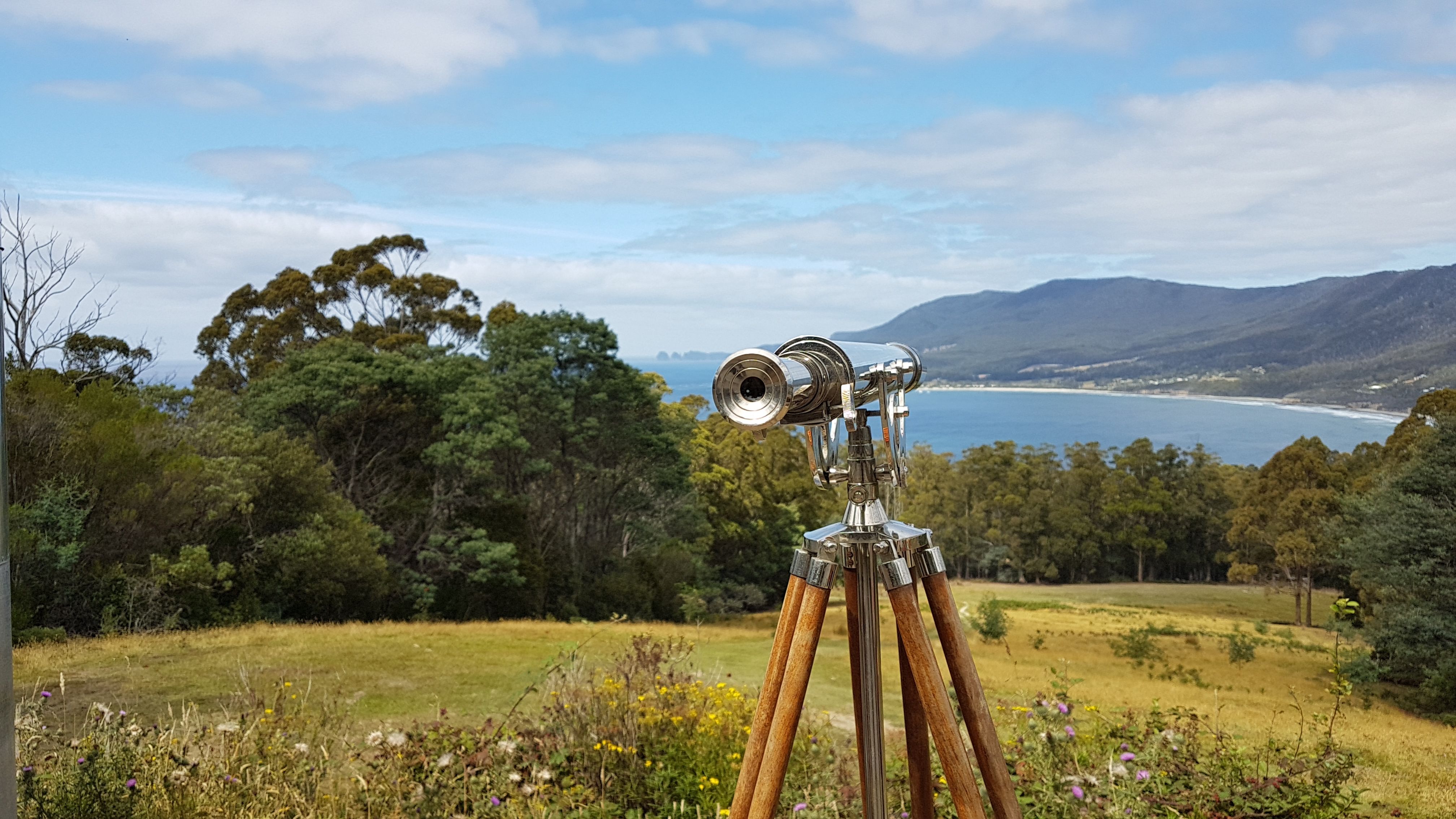 Eaglehawk
