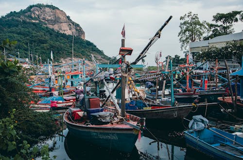 Foto profissional grátis de água, ancorado, barcos