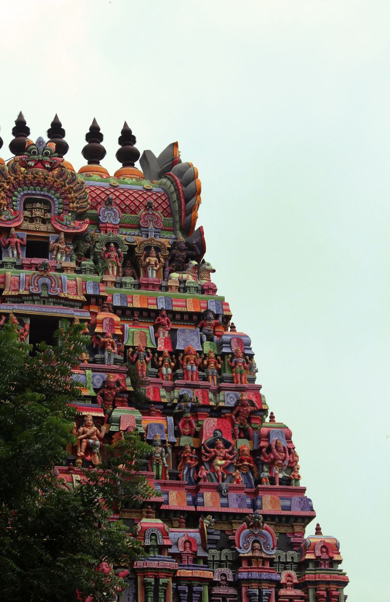 Temple Activities
