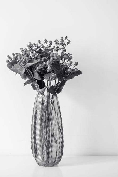 Free Artistic black and white floral arrangement in a glass vase on a white surface. Stock Photo
