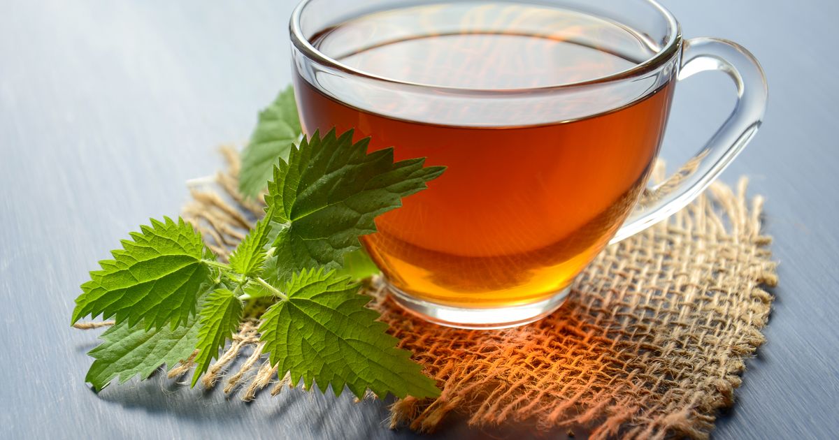 在广州慢下来只需一盅两件!这份周末早茶漫游地图,打工人请直接抄 🍵🥟插图2 在广州慢下来只需一盅两件!这份周末早茶漫游地图,打工人请直接抄 🍵🥟-背包猫