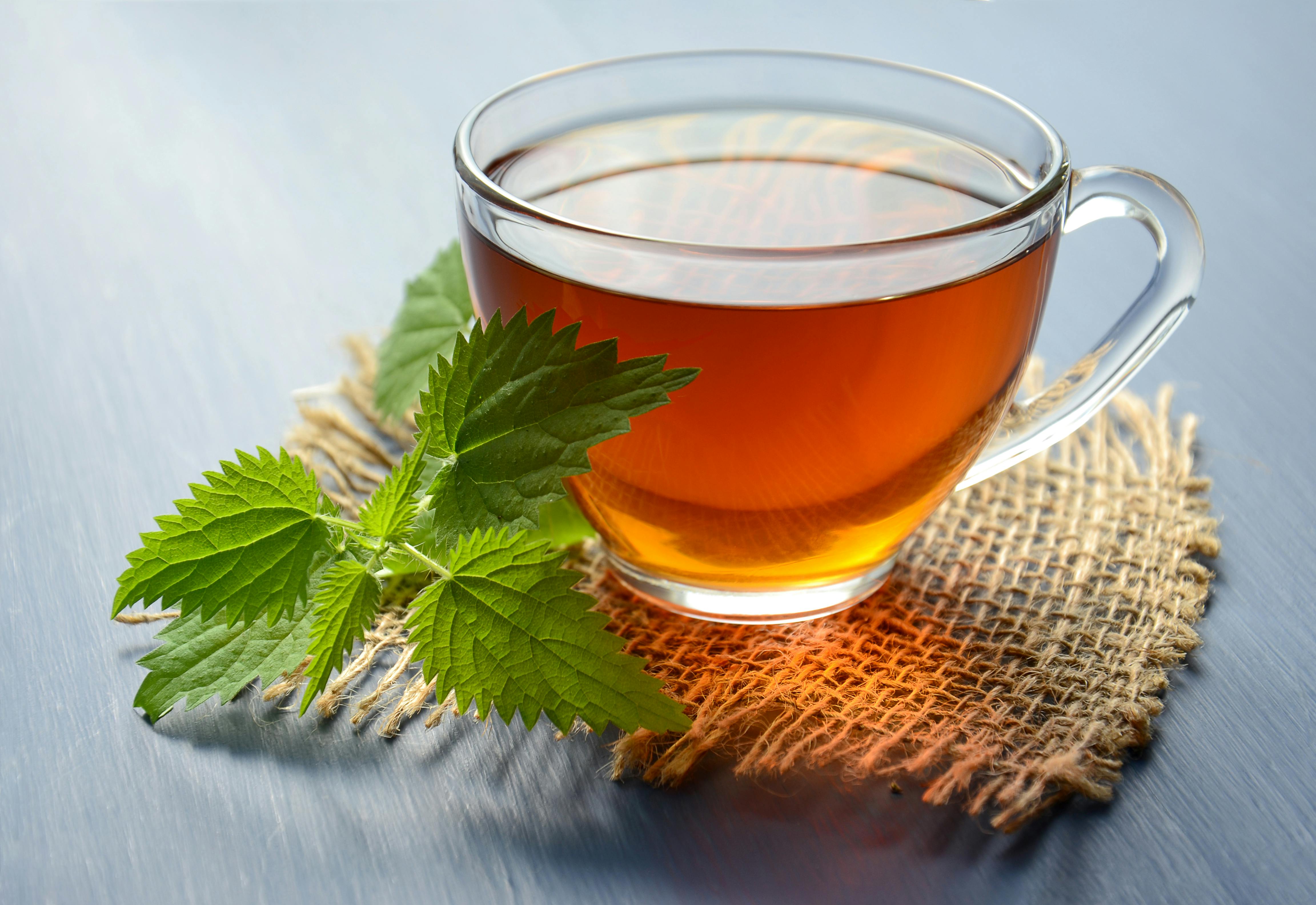 Peppermint Tea on Teacup · Free Stock Photo