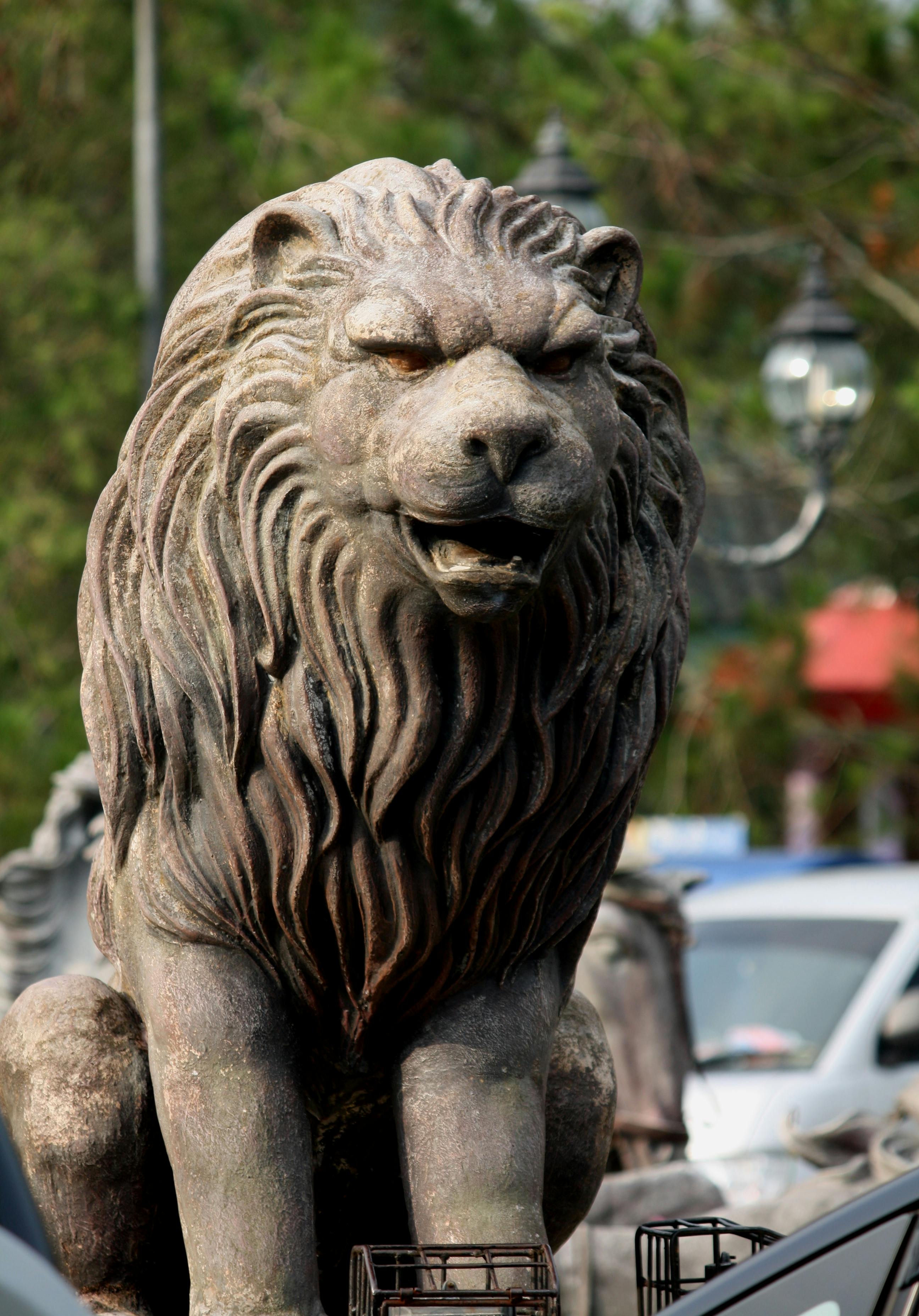 Free stock photo of highway, lion, statue
