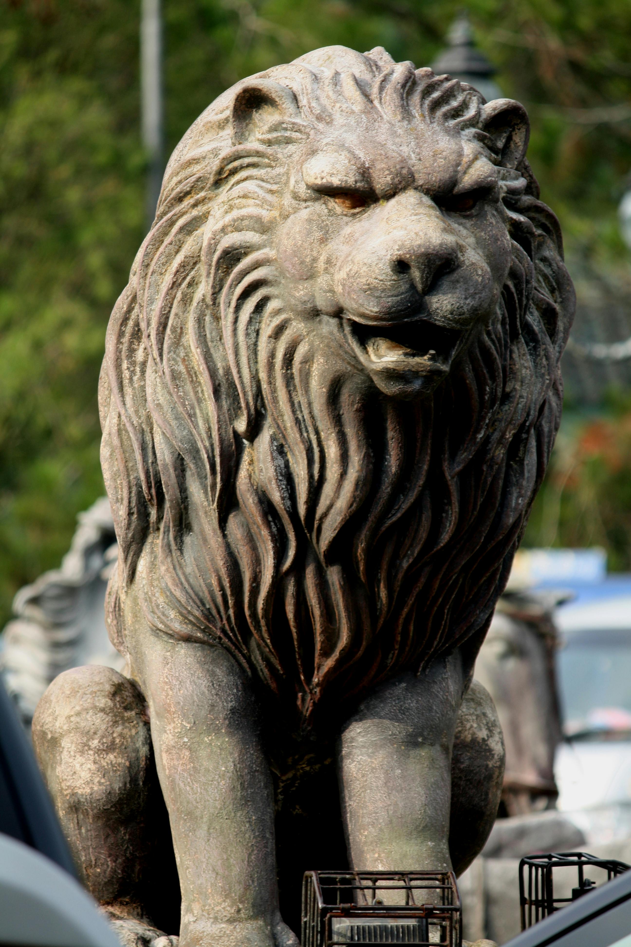 Free stock photo of highway, lion, statue