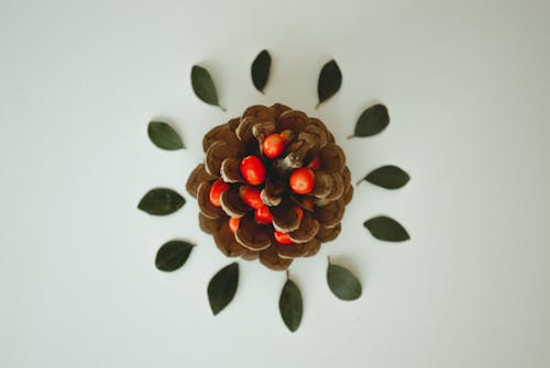 Plated Round Cookie Surrounded With Leaves