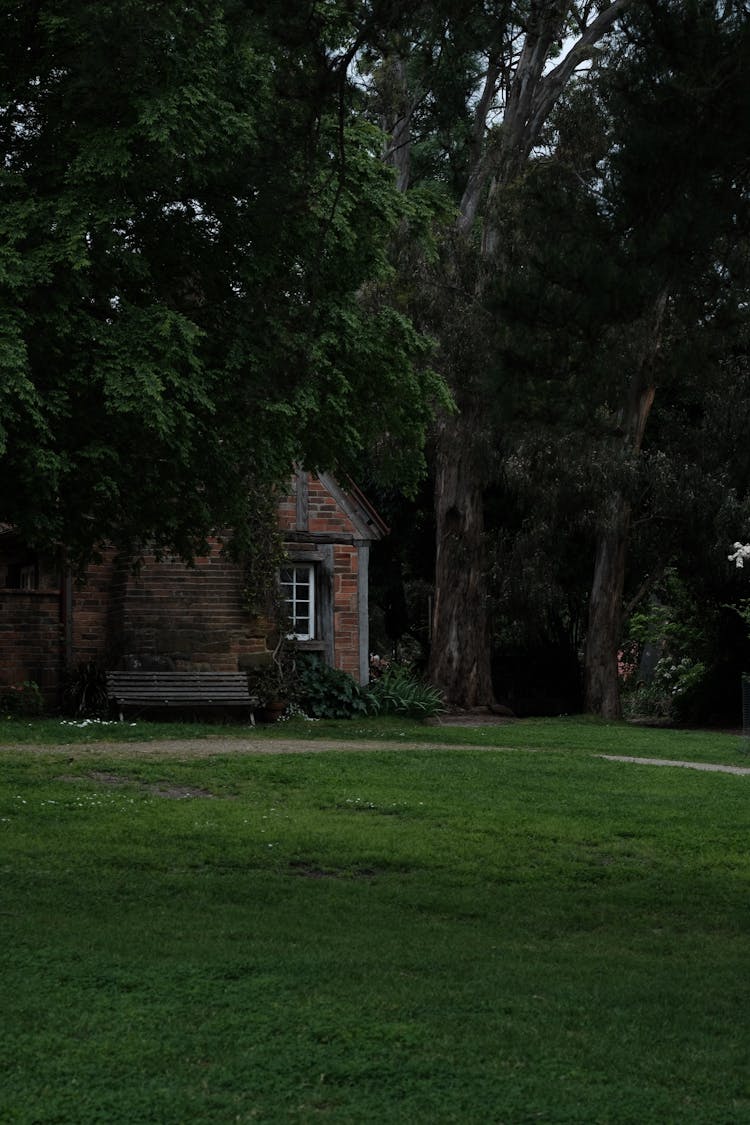 Brown House Near Green Trees