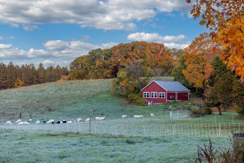 Immagine gratuita di agriturismo, autunno, azienda agricola