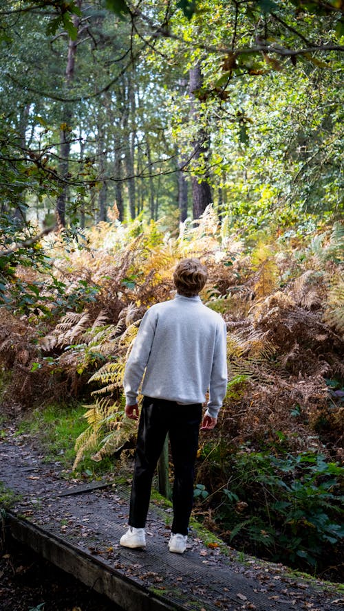 A Back View of a Man Standing Near the Trees in the Forest