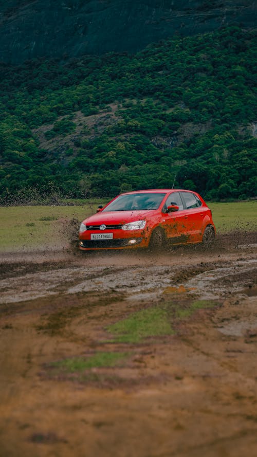 Foto d'estoc gratuïta de camí de carro, conducció, cotxe