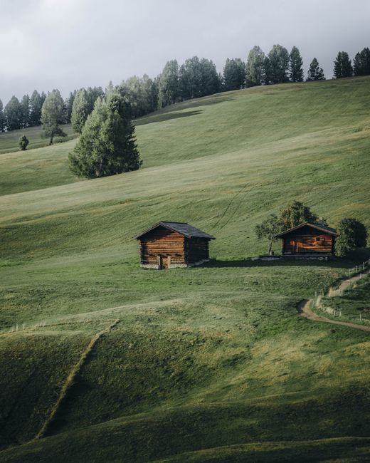 Idyllic hillside view of rustic cabins in Trentino, Italy surmounted by lush greenery and a serene ambiance.