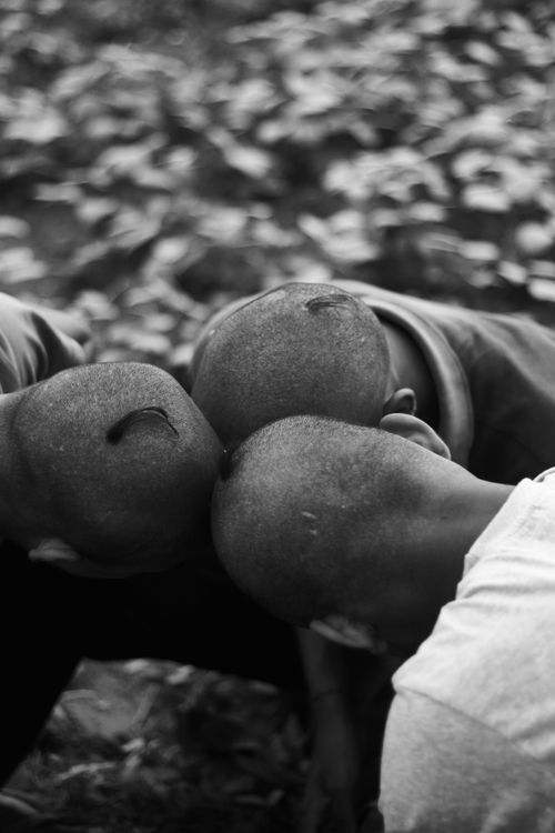 Free Engaging black and white image showcasing three bald heads, a unique viewpoint. Stock Photo
