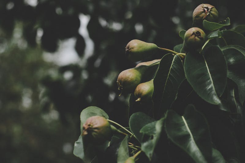 White mug with a photo print on a table