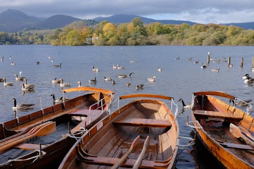 A Wooden Boats on the Lake