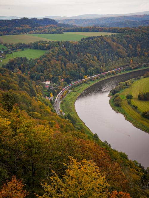 Kostenloses Stock Foto zu bäume, drohne erschossen, fluss