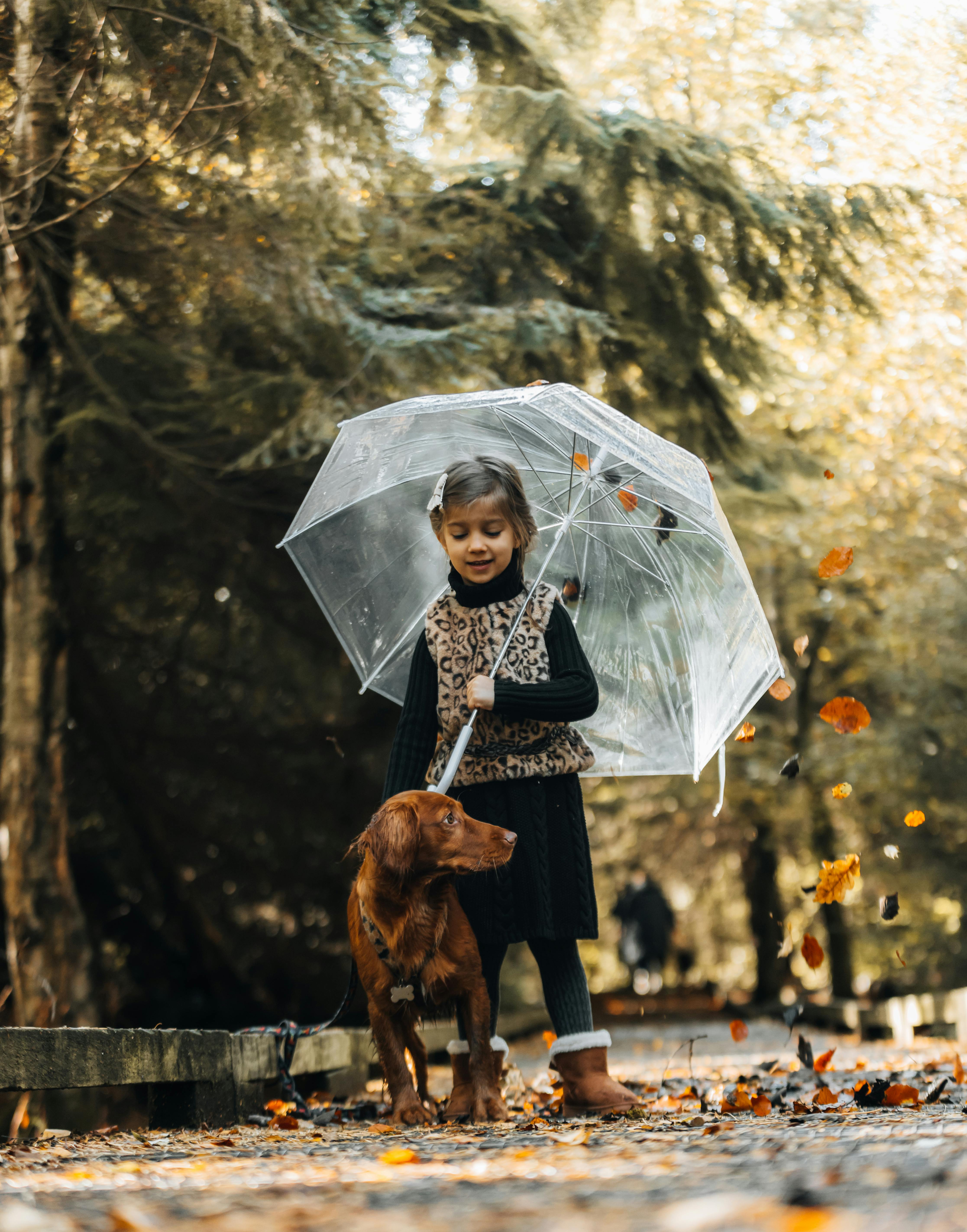 Kids Playing with their Dogs · Free Stock Photo