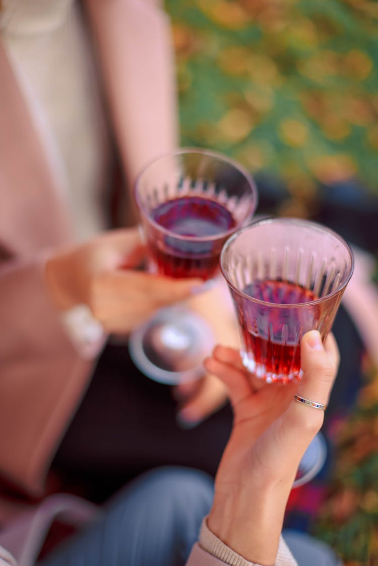 A Pair Of Friends Toasting Glasses Of Drinks