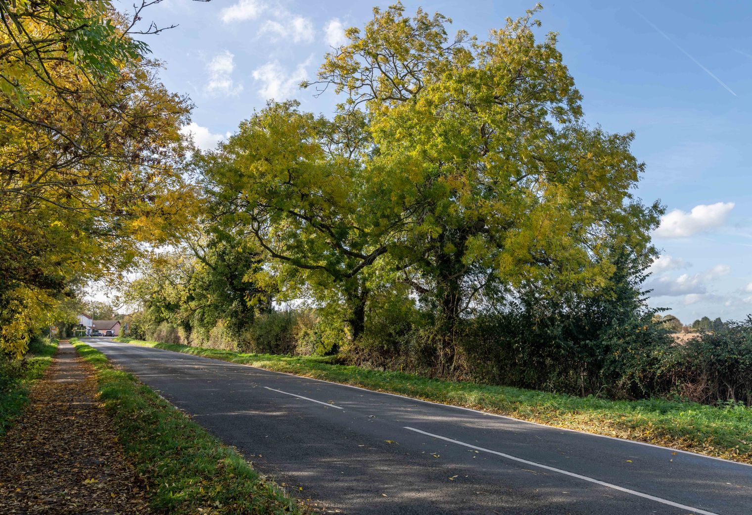 London to Hove — removal van on the motorway for a long-distance move
