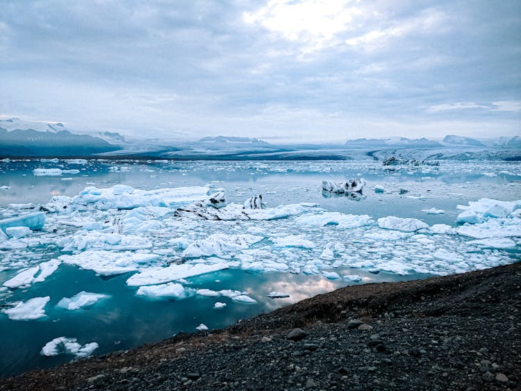 View Of A Lake In Winter 