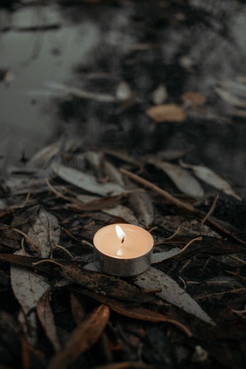 Free A single candle flickers among dried leaves, creating a moody ambiance. Stock Photo