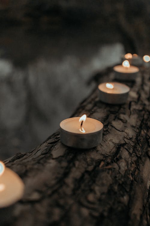 Withed Candles on Tree Trunk 