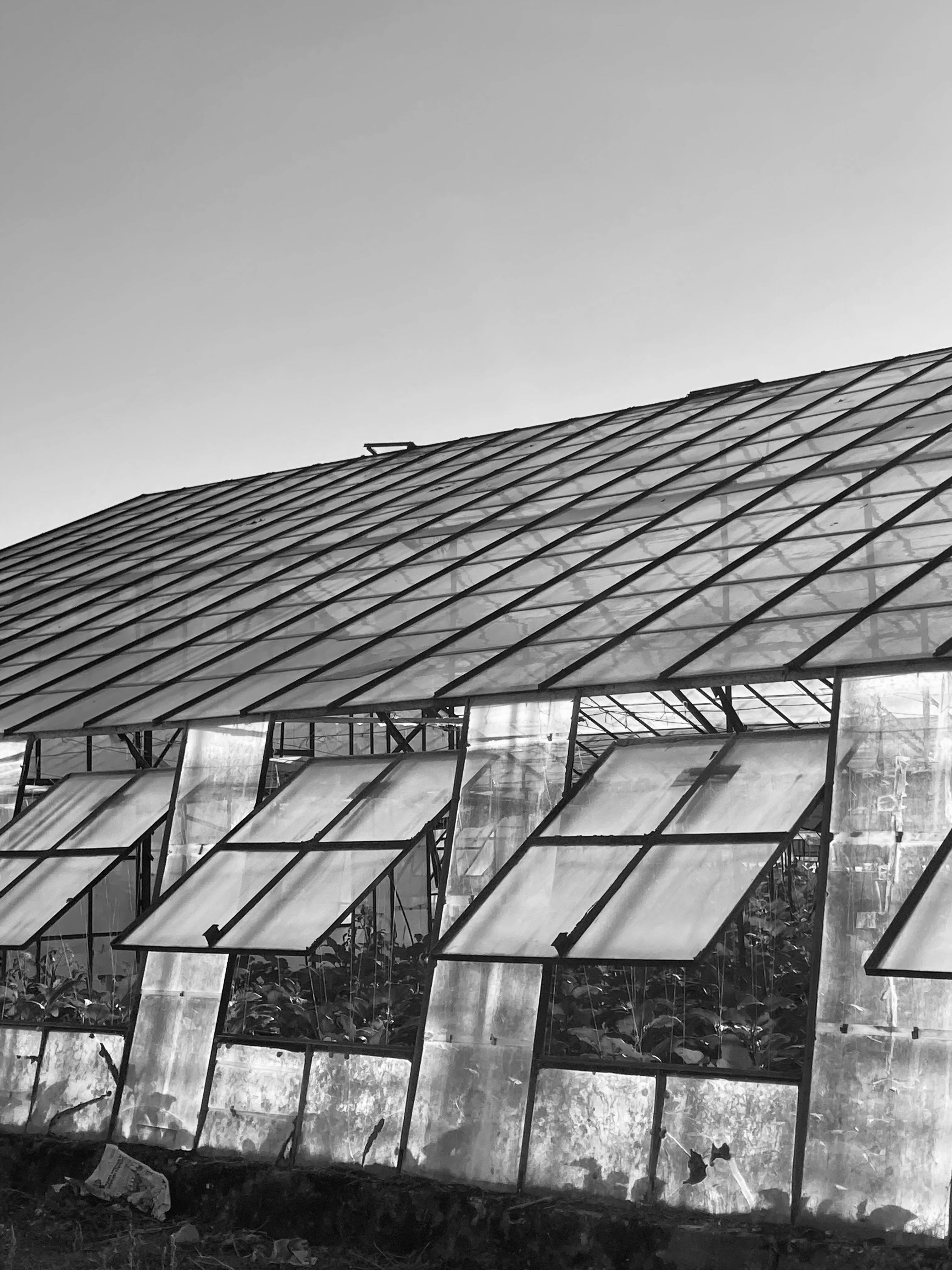 Exterior of a Greenhouse · Free Stock Photo