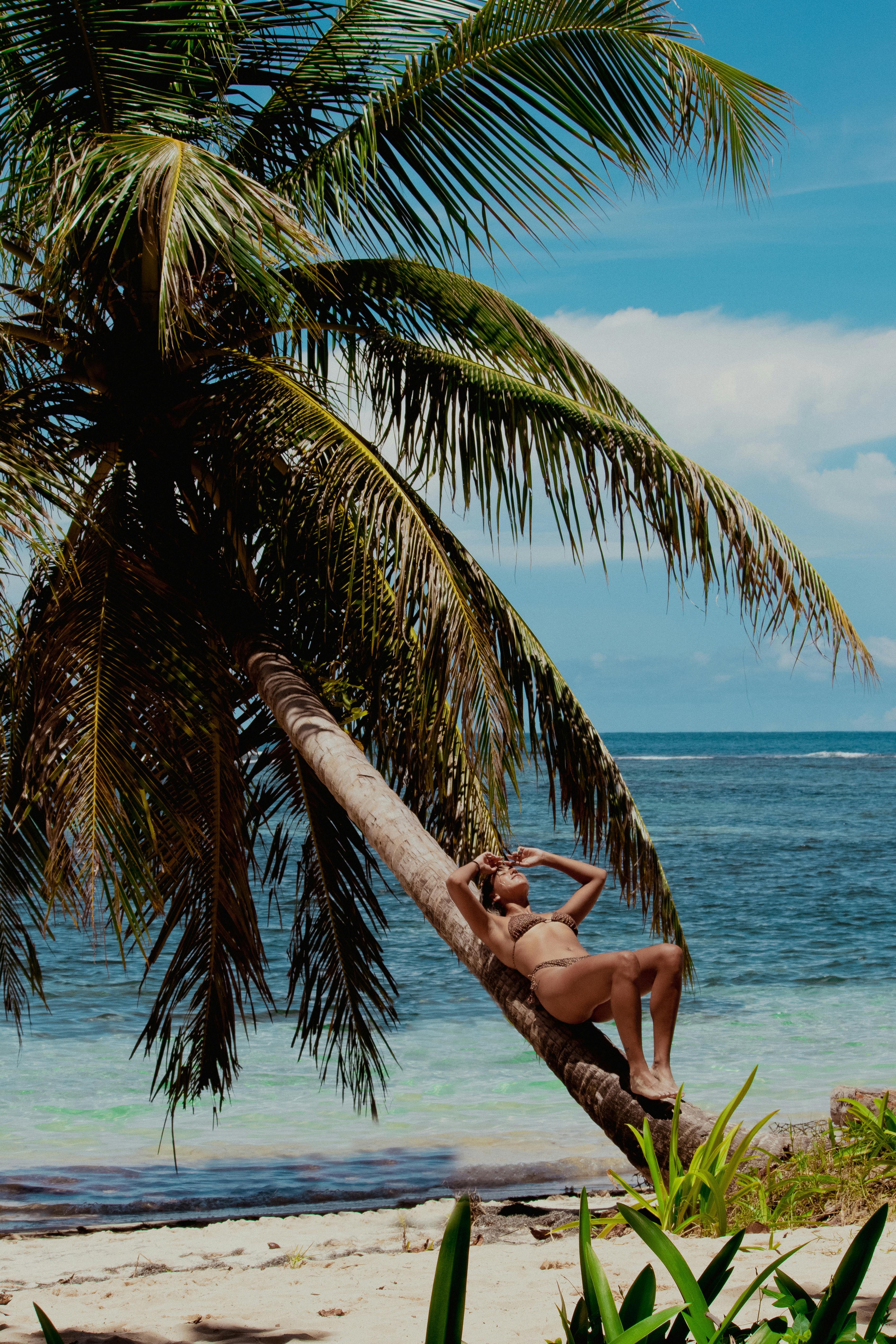 A palm-tree-lined Caribbean beach in Bocas del Toro, Panama — turquoise waters and tropical island scenery.