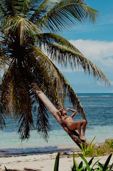 Woman sunbathing on a palm tree by the beach in Bocas del Toro, Panama.