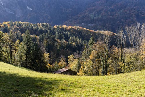 小屋, 山丘, 樹木 的 免费素材图片